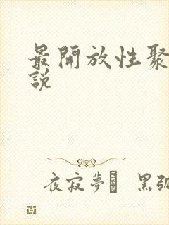 最开放性聚会小说