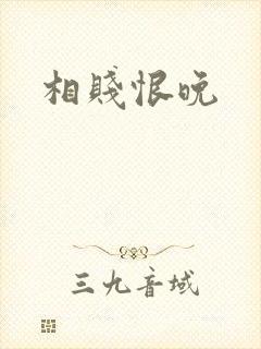 相贱恨晚封面