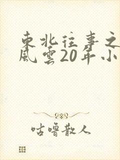 东北往事之黑道风云20年小说