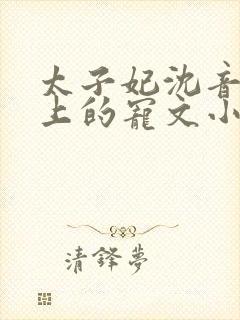 太子妃沈音和皇上的宠文小说