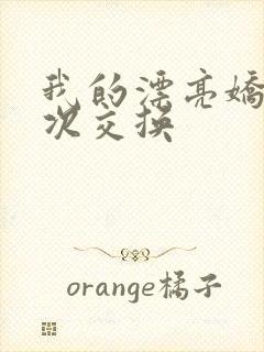 我的漂亮娇妻初次交换