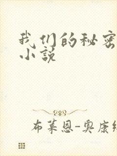 我们的秘密泰剧小说