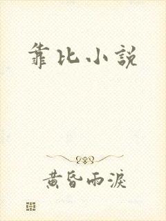 靠比小说