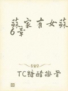 苏家有女苏杳56章