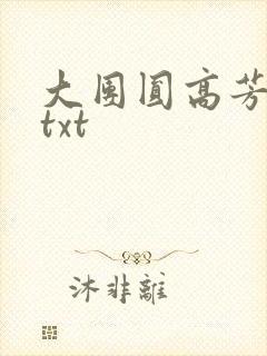 大团圆高芳小说txt