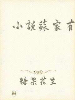小说苏家有女
