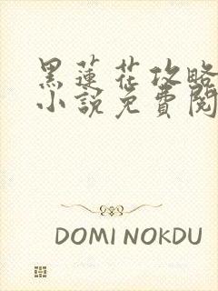 黑莲花攻略手册小说免费阅读