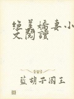 绝美娇妻小说全文阅读