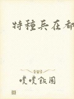 特种兵在都市
