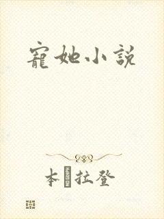 宠她小说