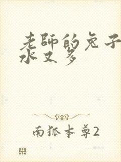 老师的兔子又软水又多