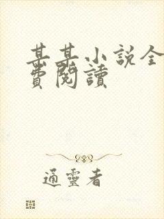 某某小说全文免费阅读