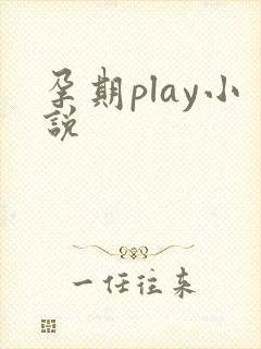 孕期play小说