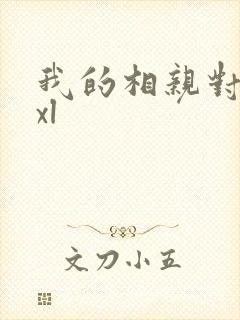 我的相亲对象是xl