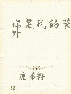 你是我的荣耀番外