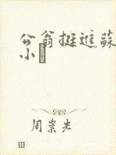 公翁挺进苏玥的小泬