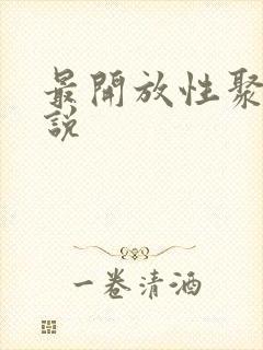 最开放性聚会小说