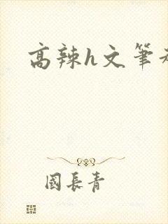 高辣h文笔趣阁