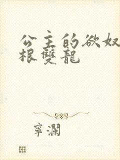 公主的欲奴h四根双龙