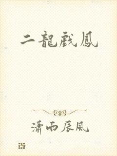 二龙戏凤