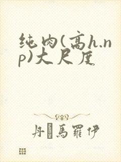 纯肉(高h.np)大尺度