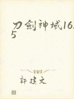 刀剑神域16.5