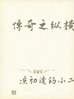 传奇之纵横玛法