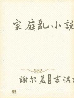 家庭乱小说