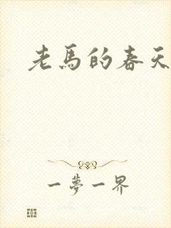 老马的春天敏静