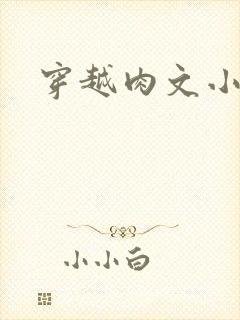 穿越肉文小说