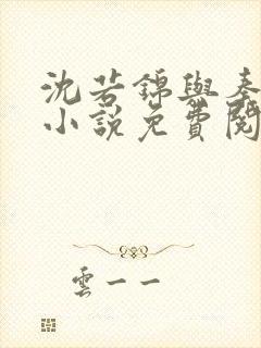 沈若锦与秦琅的小说免费阅读