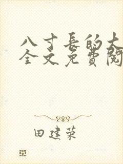 八寸长的大宝贝全文免费阅读