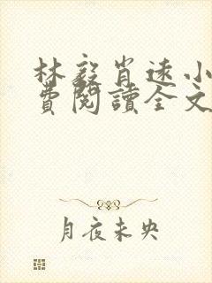 林毅肖远小说免费阅读全文最新章节