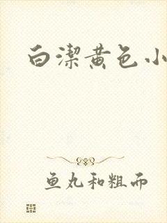 白洁黄色小说