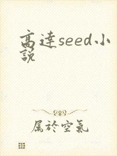高达seed小说