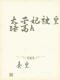 太子妃被皇上强睡高h