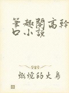 笔趣阁高干文入口小说