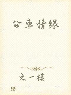 公车情缘