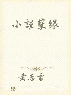 小说孽缘