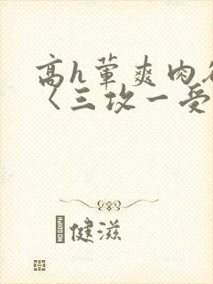 高h荤爽肉欲文〈三攻一受