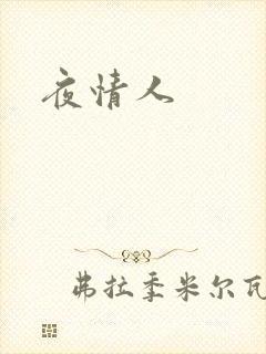 夜情人