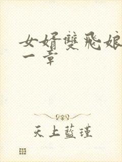 女婿双飞娘俩第一章