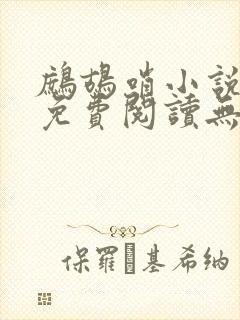 鹧鸪哨小说网站免费阅读无弹窗