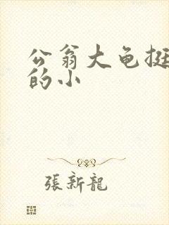 公翁大龟挺进我的小