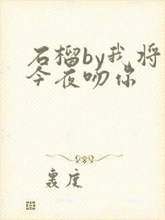 石榴by我将在今夜吻你