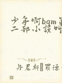 少年啊bgm第二部小说叫什么