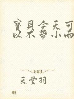 宝贝今天可不可以不带小雨伞