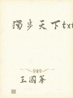 独步天下txt