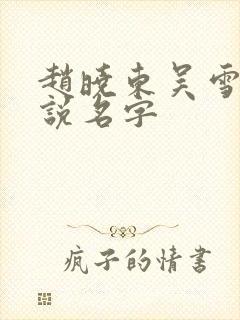 赵晓东吴雪晴小说名字