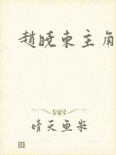 赵晓东主角小说